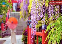 Tour Nhật Bản Lễ 30/4: Khám Phá Hokkaido Mùa Hoa Anh Đào